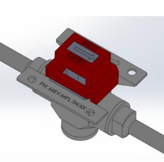 MBV Training Session